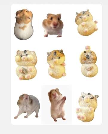 とっとこぽてと3