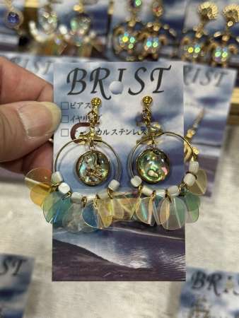 BRIST3