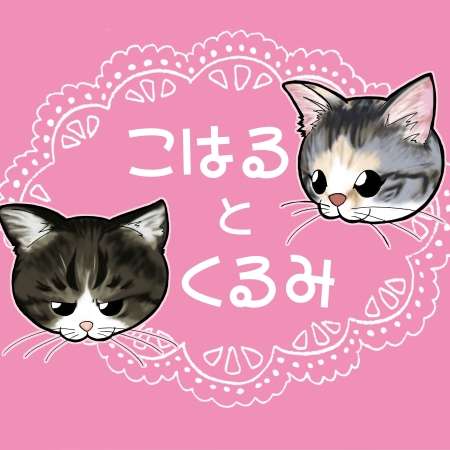 こはるとくるみ3