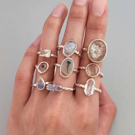 黒猫とカンパニュラ2