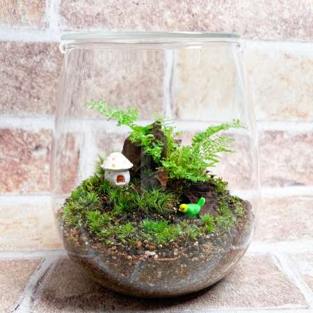 苔の倉（苔テラリウム）2