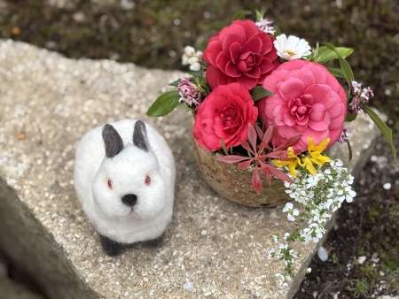 おーろらみゆき3