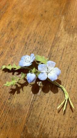 Flowers-43