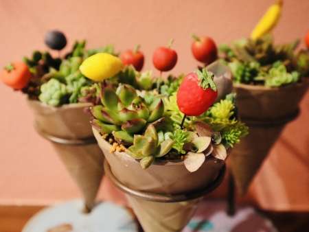 ももんが植物園2