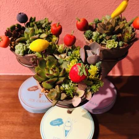 ももんが植物園3